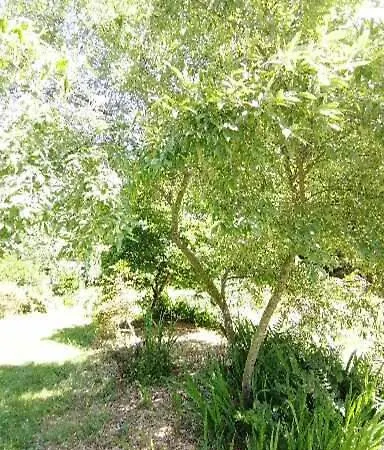 Apartment Ressourcement En Bretagne
